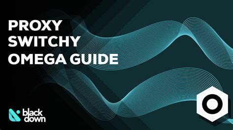 Proxy SwitchyOmega: How To Install and Use It .